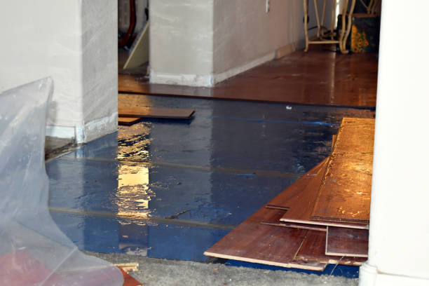 Professional Burst Pipe Water Damage technician working in Easton, WA